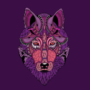WRAPTIOUS Designerkissen - Mystic Wolf