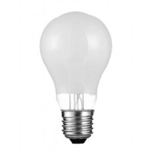 Leuchtmittel / LED ledlightz E27 / 5W