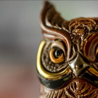 DE ROSA Coll. - Screech owl / Kauz - FAMILIES Collection