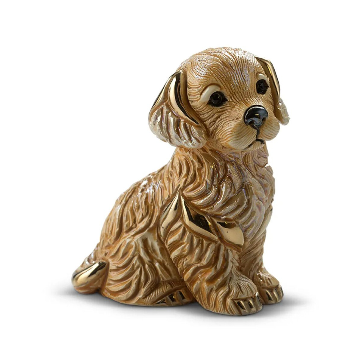 DE ROSA Coll. - Golden Retriever puppy / Golden Retriever...